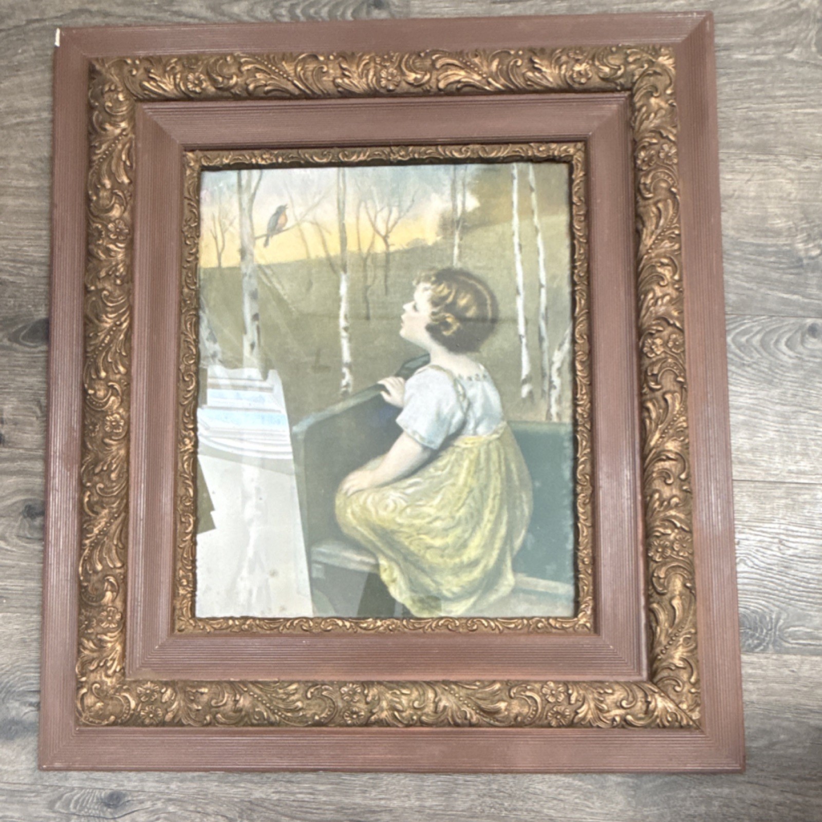 Newburgh Galleries Framed Girl and Bird Painting Nature Large Canvas Art