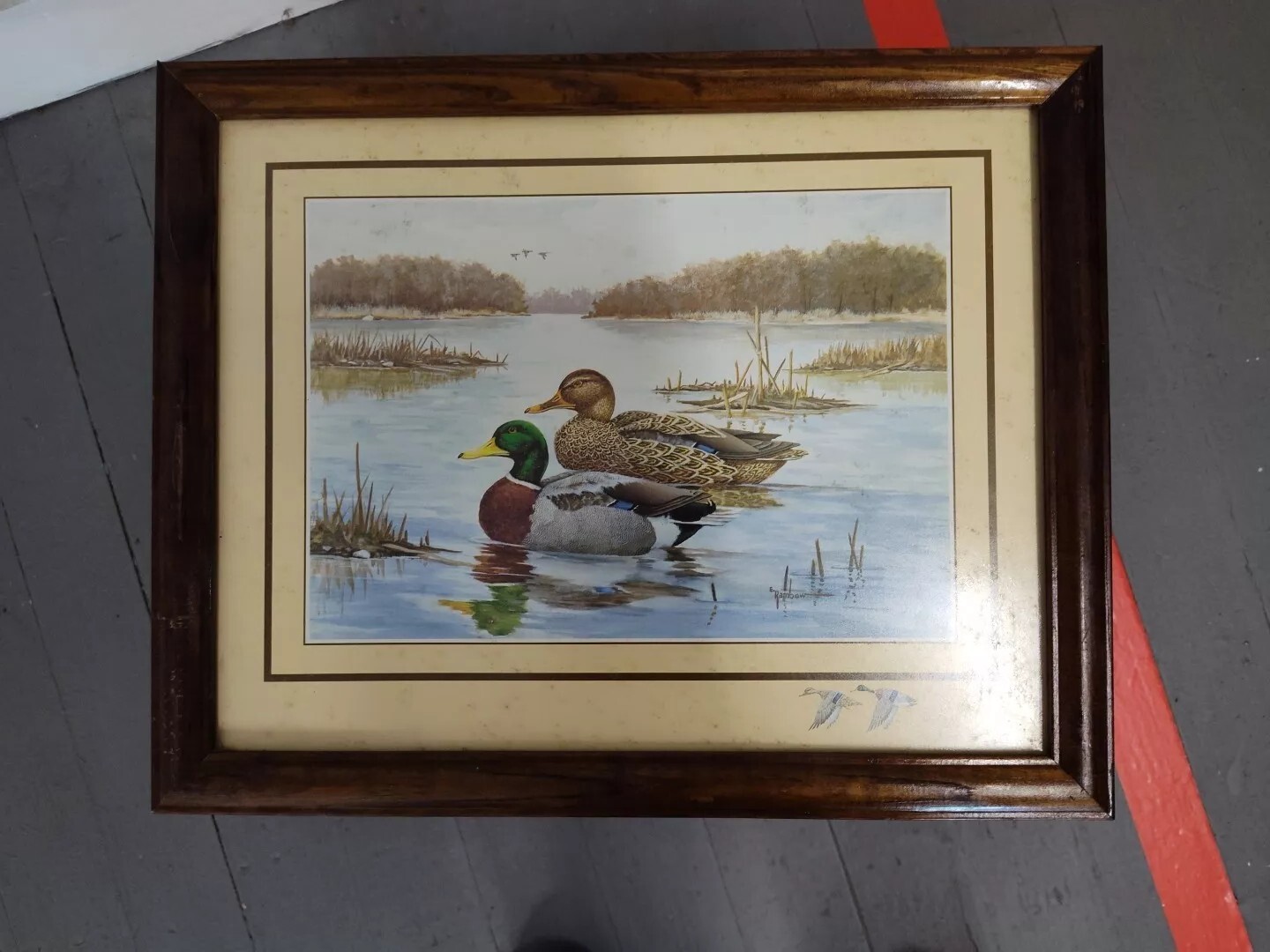 Erwin Rambow Framed Original Artwork of Wildlife Ducks in pond lake Signature