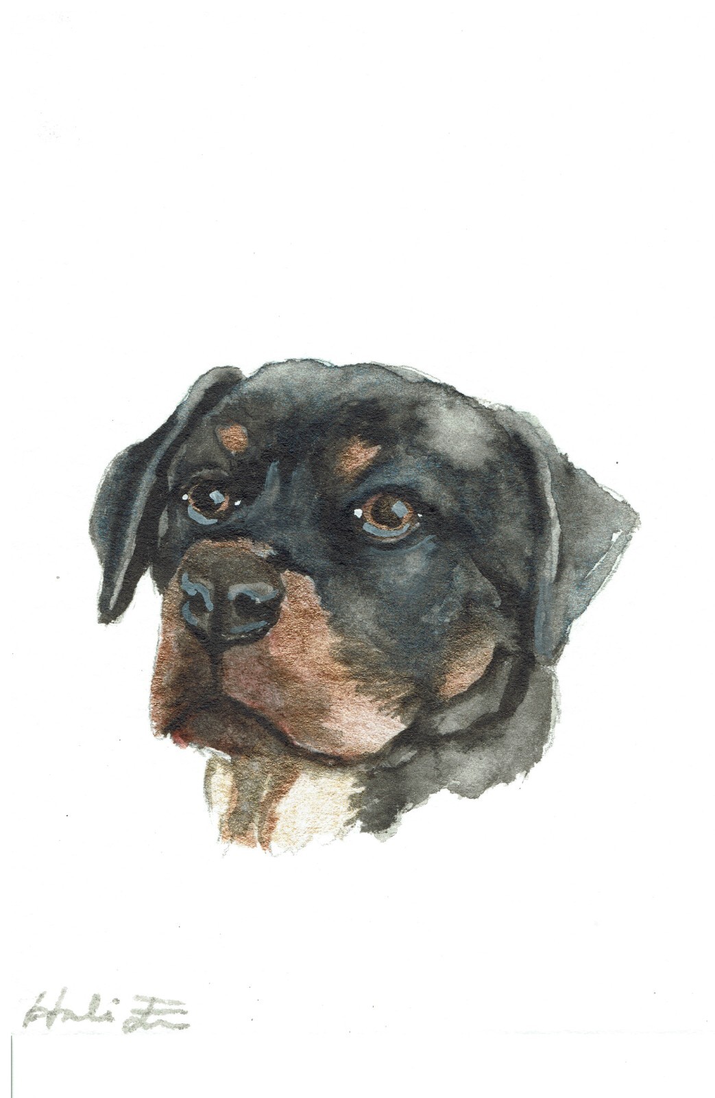 ACEO Original Watercolor Painting 2.5″x3.5″ Rottweiler Puppy Dog Pet Portrait