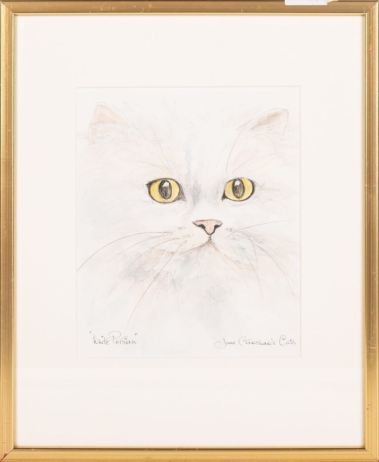 June Crawshaw, ‘White Persian Cat’