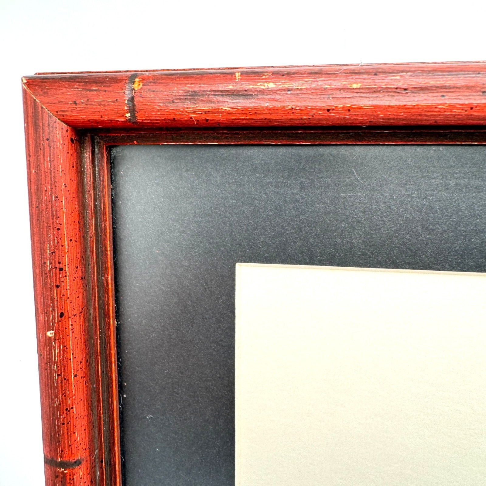 Framed Bird Illustration Signed By Artist Martin Red Bamboo-Style Frame 7.25″