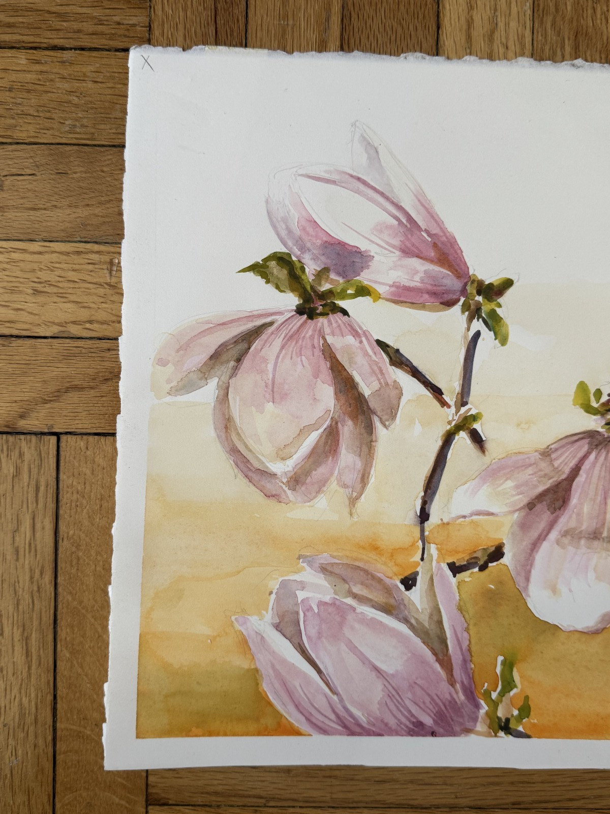 Vintage Watercolor Painting Floral Pink Magnolia Flowers Botanical 11 x 15 OOAK