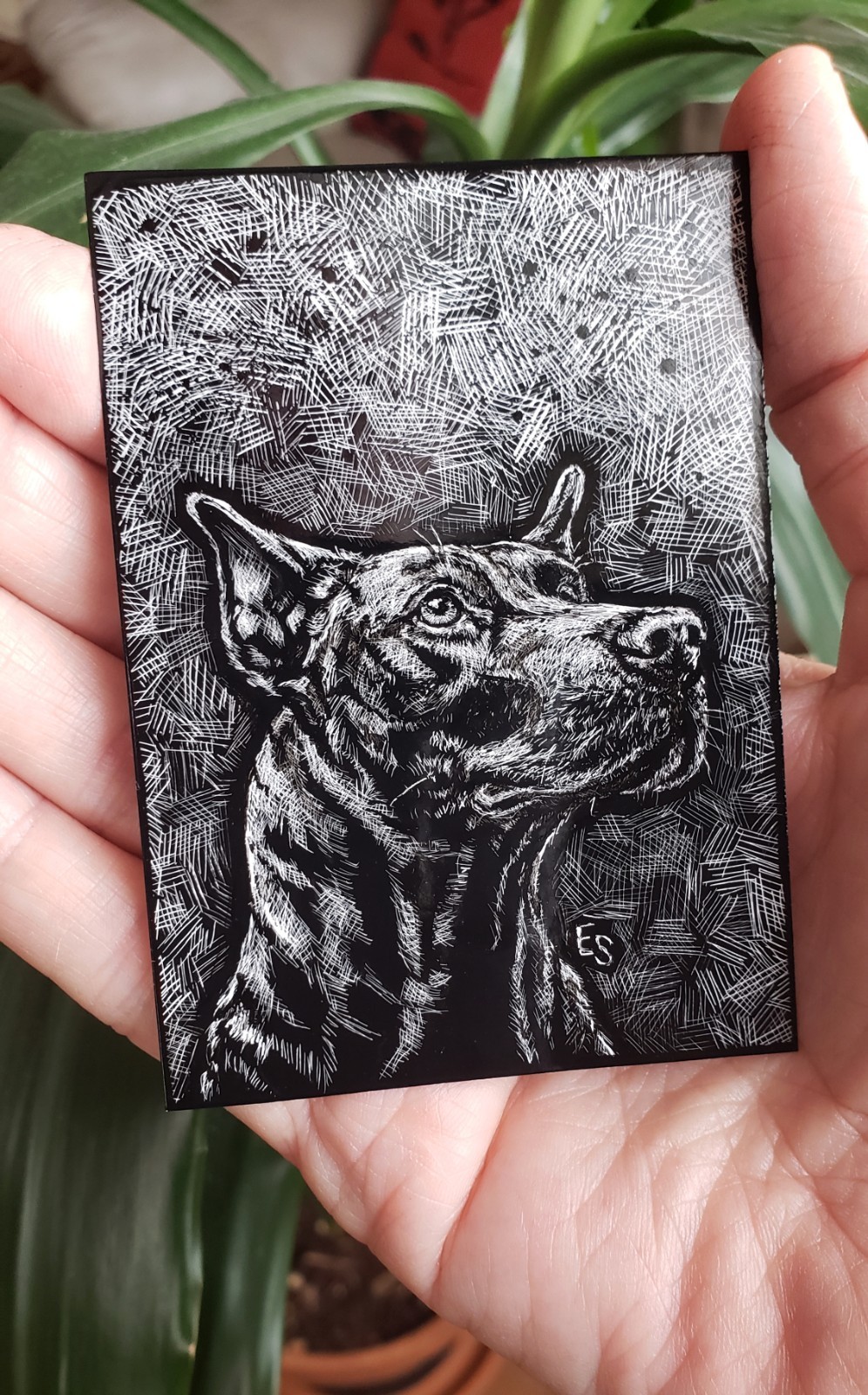 Dog Original ACEO Scratchboard Art Card ATC aznative68