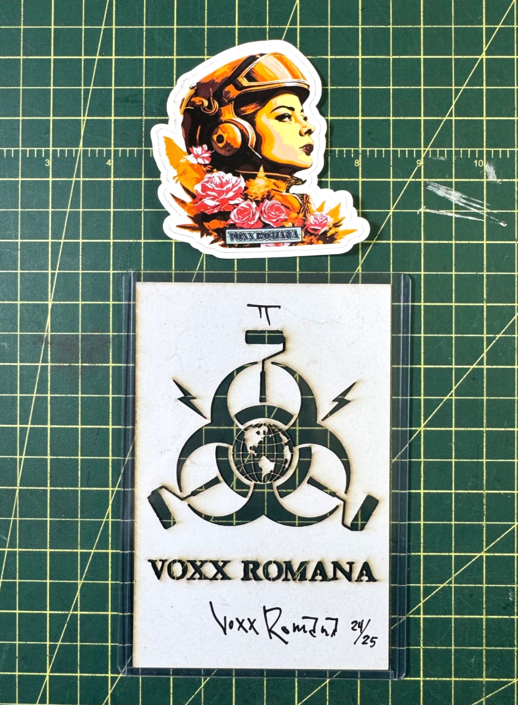 Graffiti Street Art artist collectors item signed numbered stencil original Voxx