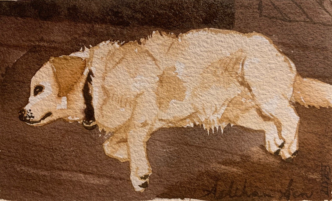 Custom pet portrait commission original watercolor painting sympathy gift art