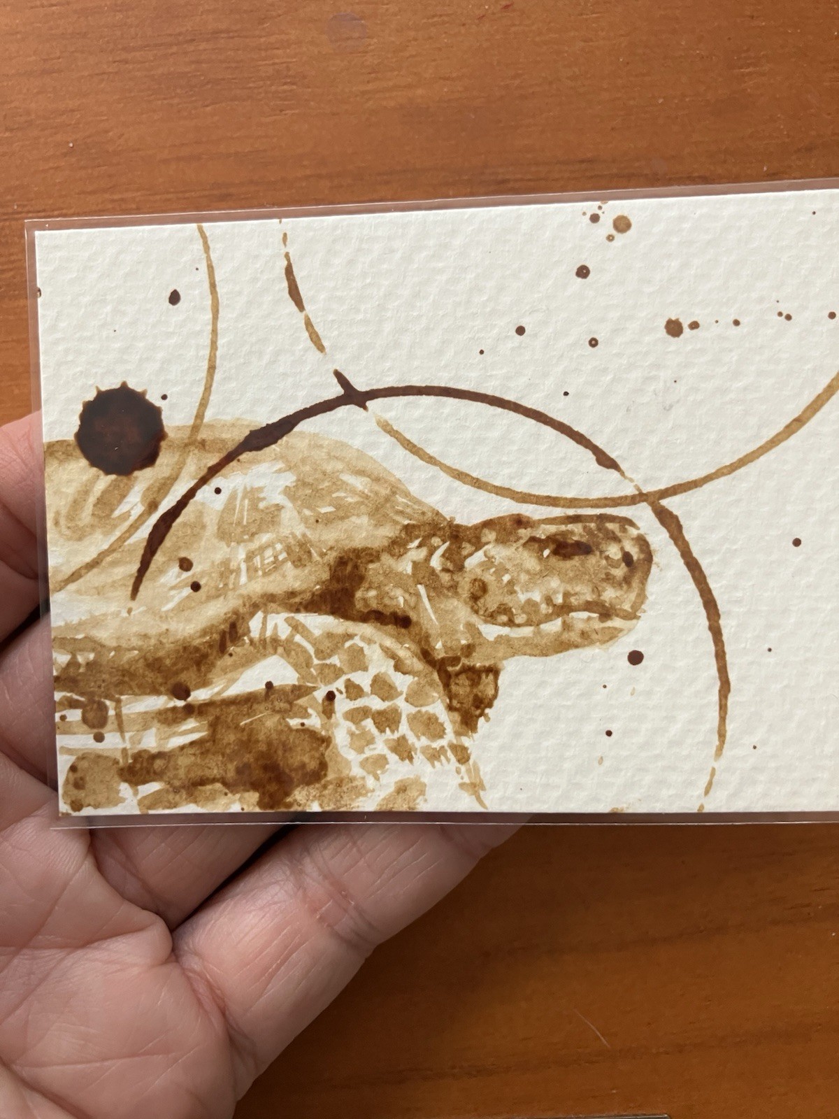 Original Coffee Turtle Painting ACEO Miniature Realism ATC Art Gift Reptile USA