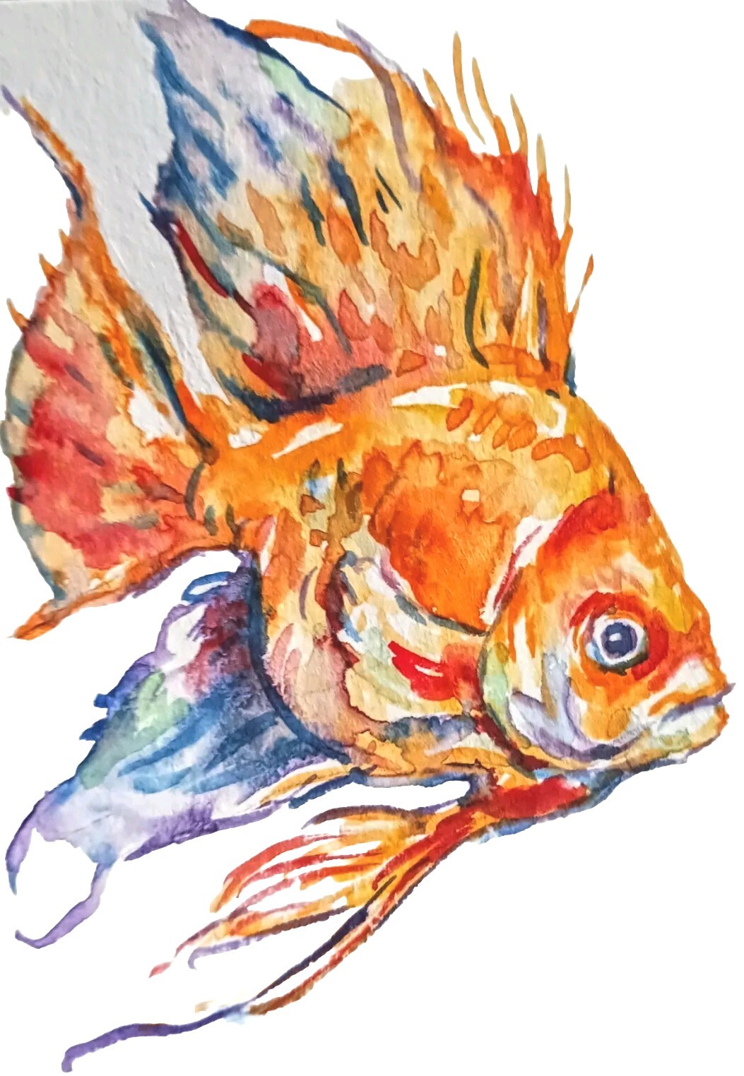 Gold Fish Pet art,original Watercolor painting,nature Lover Unique gift 4 x3.5″