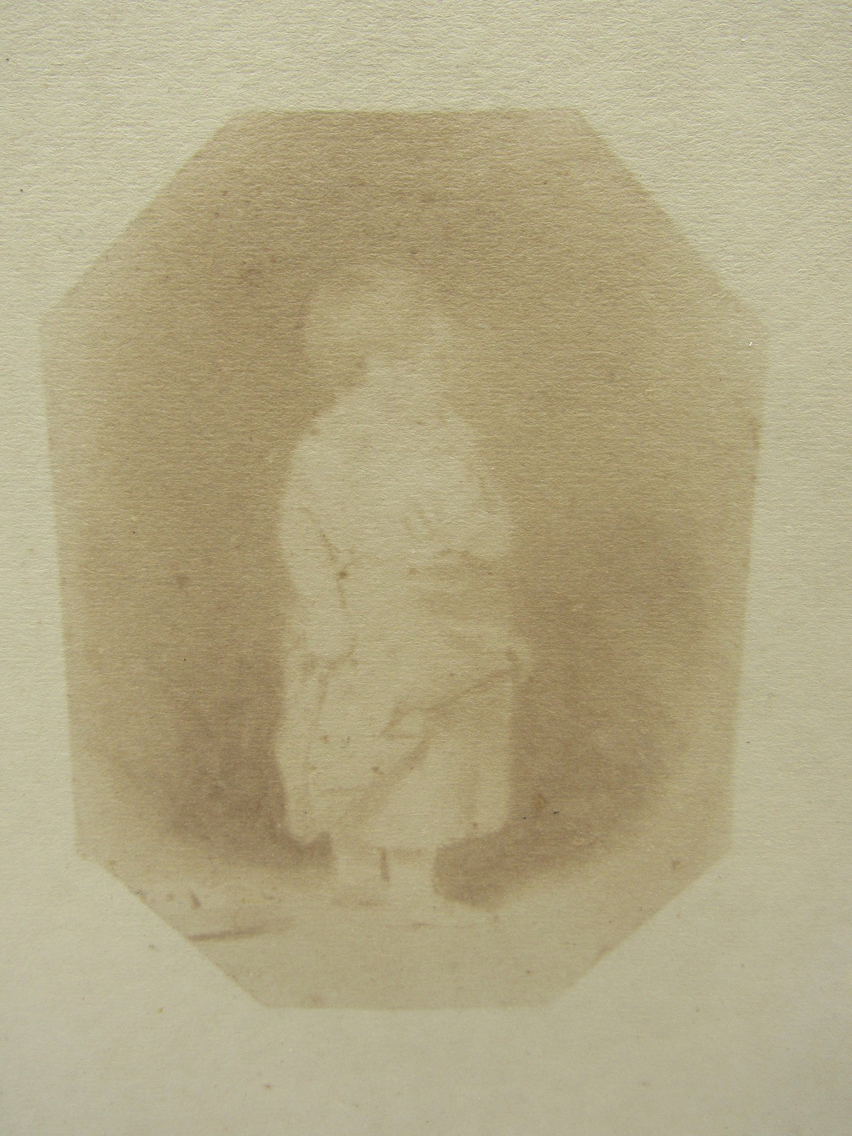 Antique photogenic? drawing of a child photographic technique 7.5×9″