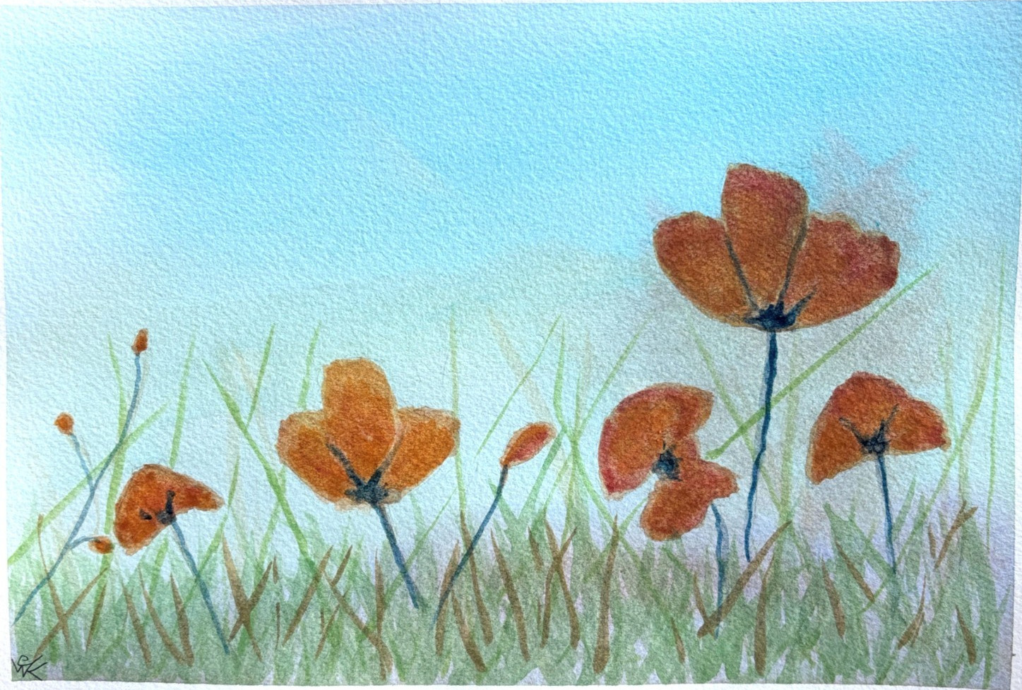Original Watercolor Painting Orange Poppies Flower Meadow Fine Art Signed 10×7