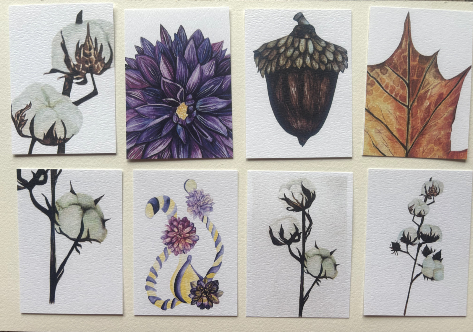 ACEO Edition- Print Sawyer Crane Flower Watercolor Acorn Fall Tree Autumn gift