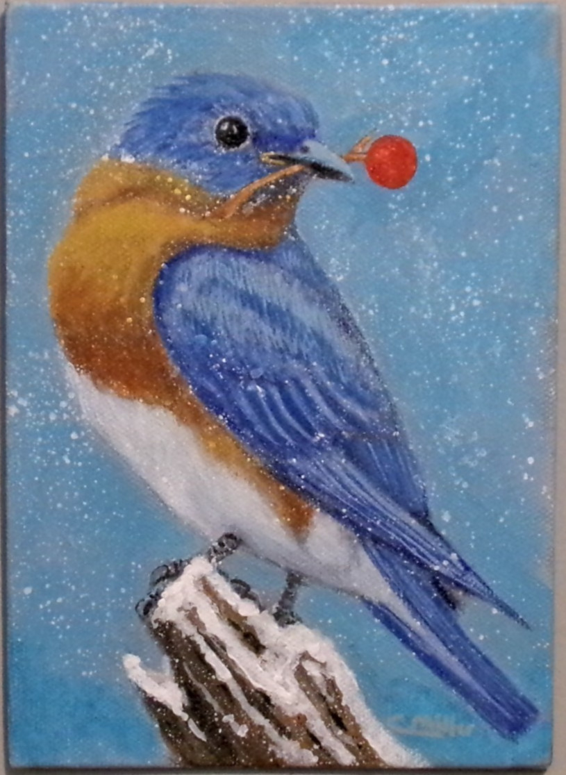 Bluebird Original Bird Painting 5×7 Winter Animal Wildlife Modern Wall Art