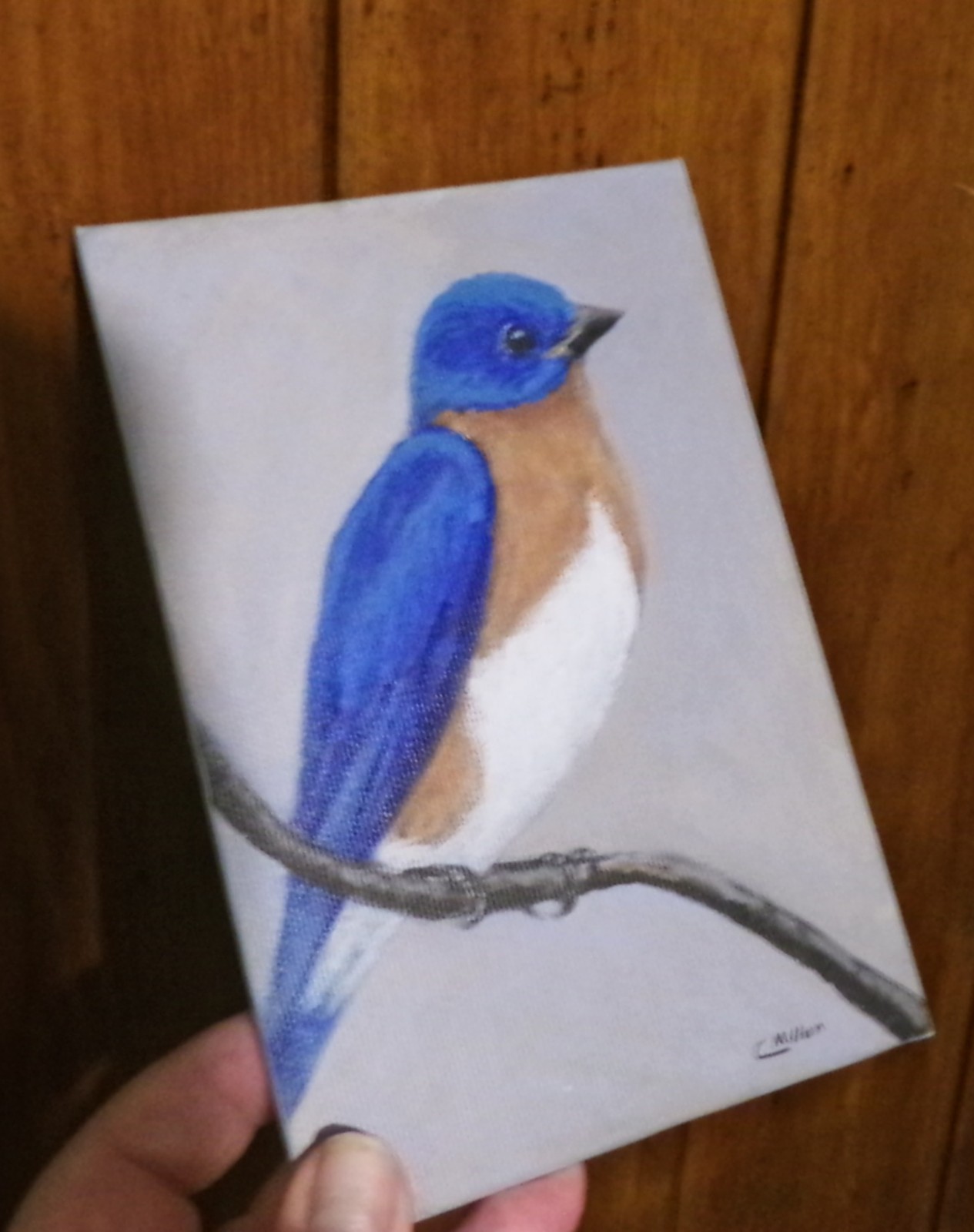 Bluebird Original Bird Painting by Chris Miller 5×7 Wildlife Fine Art Decor