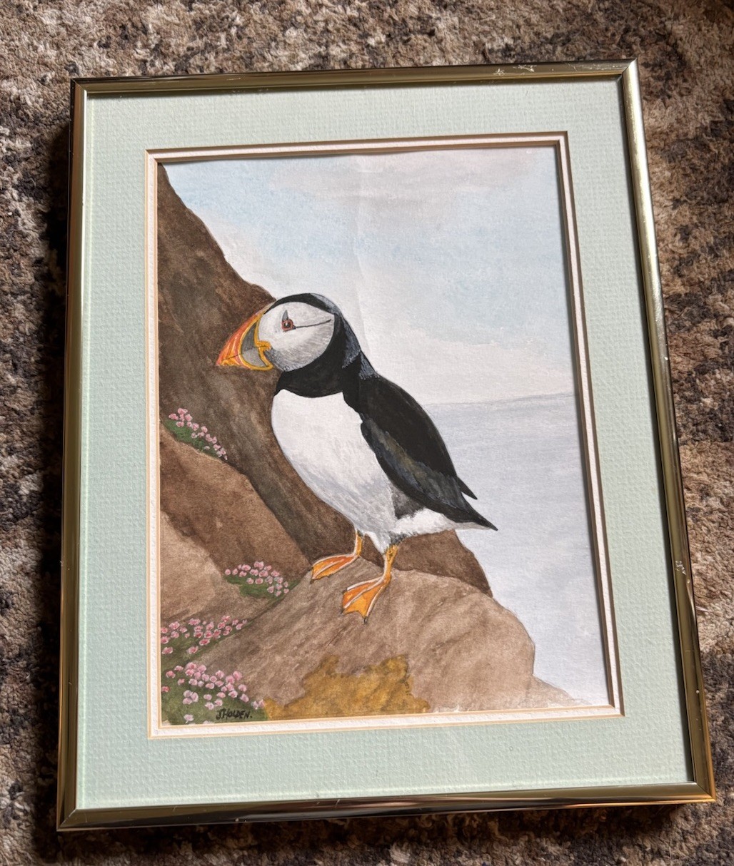 9”x11.5” Puffin Framed Watercolor Wall Art Signed J Holden Oregon Coast Sealife