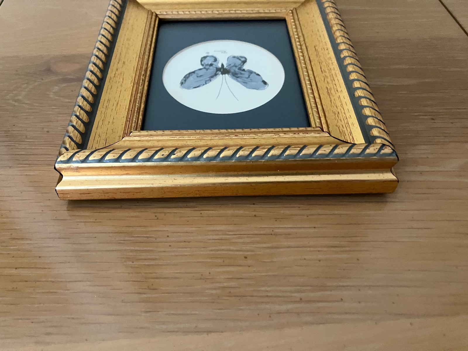 Vtg Orig Watercolor Painting in Updated 4×5 Frame; Butterfly, Carol Morrison