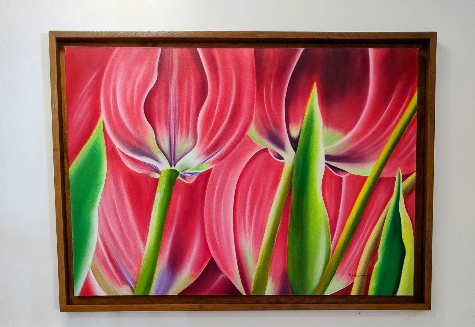 Red Tulips