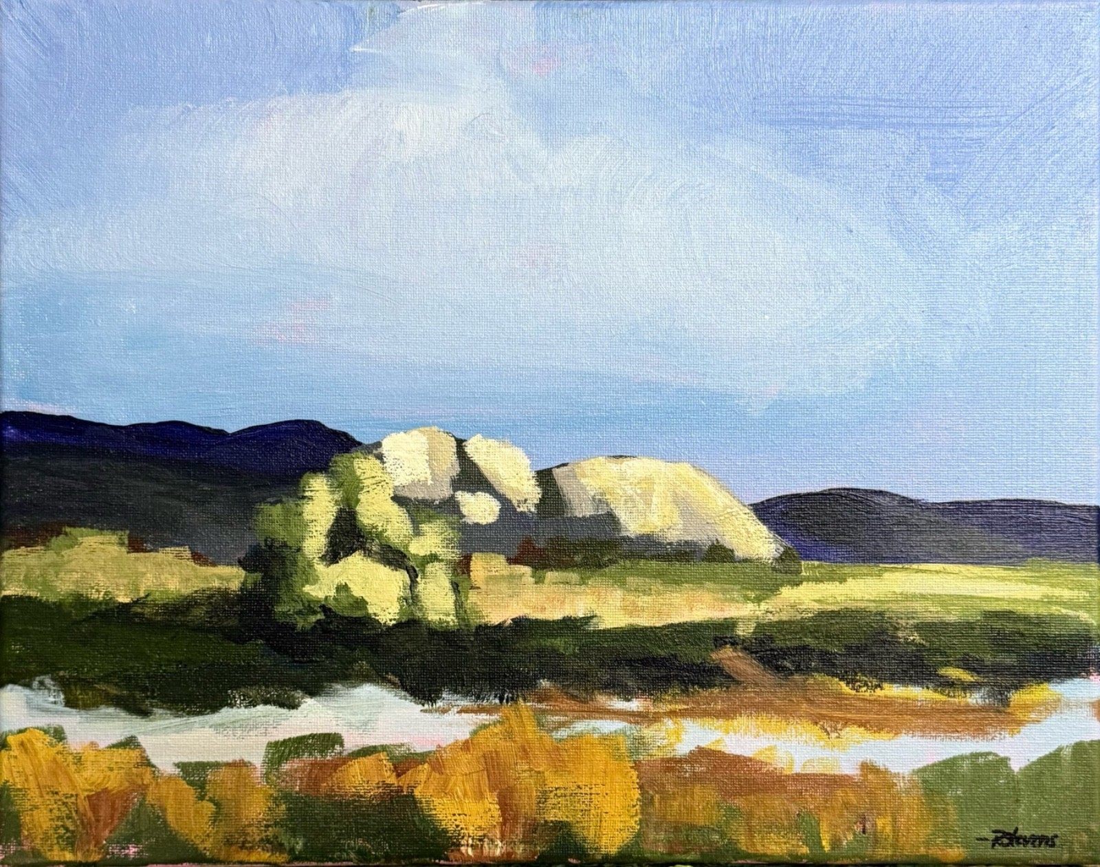 R Stevens 11×14 Original Acrylic Landscape Painting Mountain Lake Field