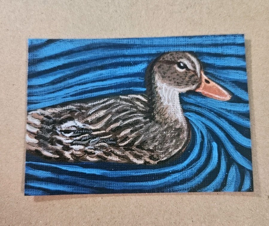 ACEO Mallard Duck Swimming in Water Original Bird Art Acrylic on Paper Signed