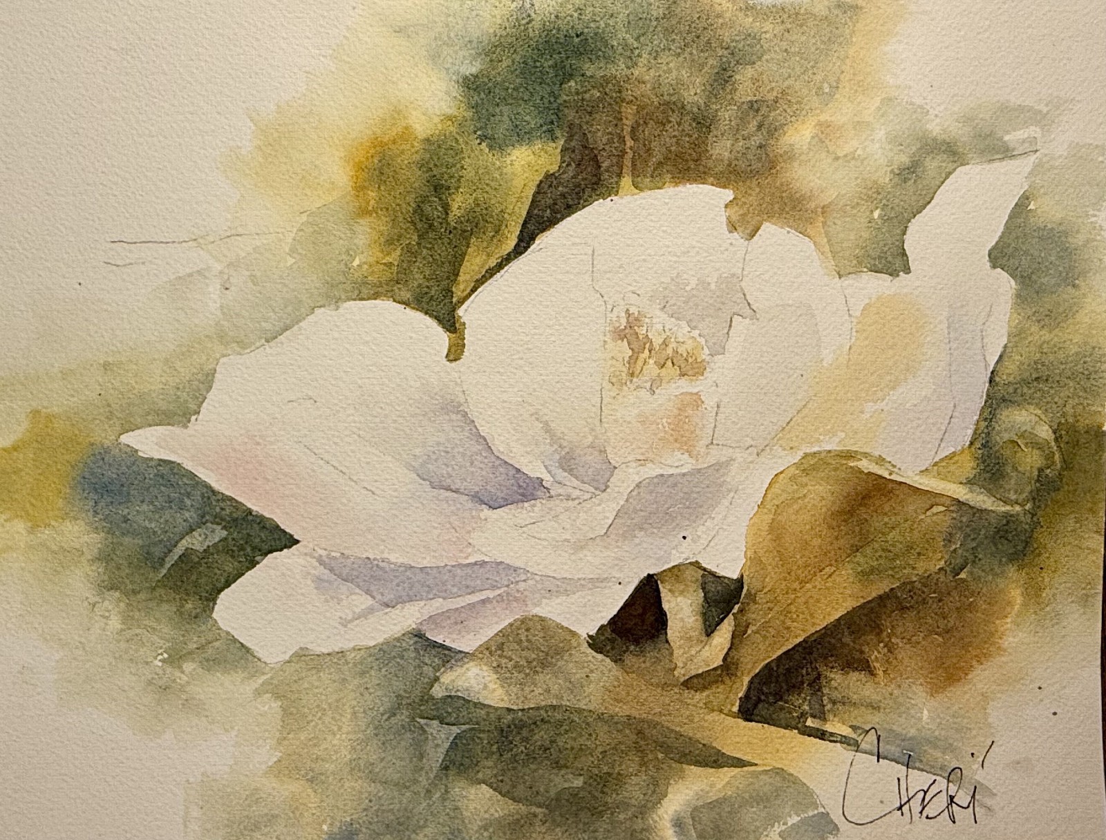 Original Signed Watercolor Painting Magnolia Flower