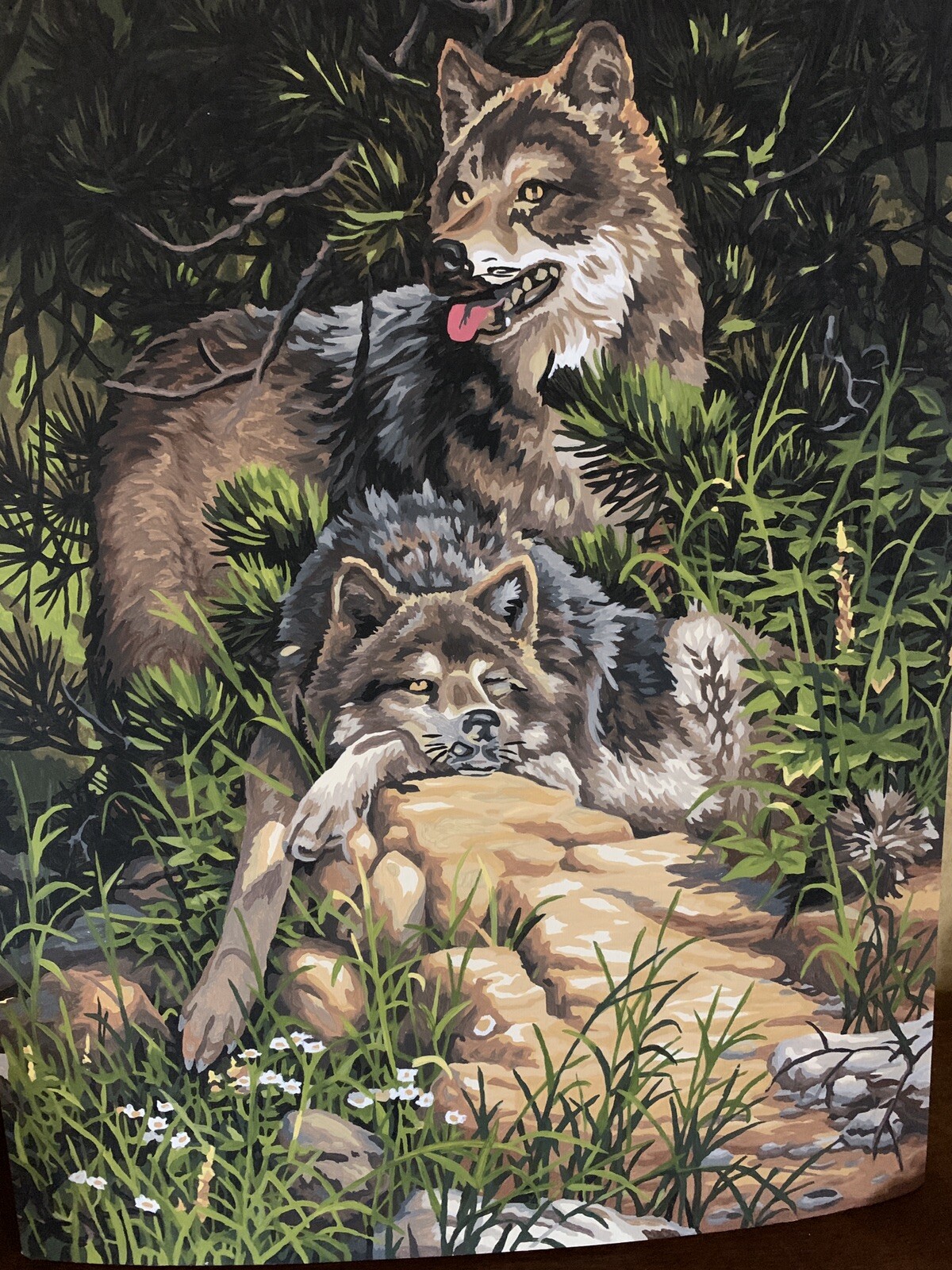 Wolf paint-by-number hand painted completed vintage 16×20 unframed BEAUTIFUL art