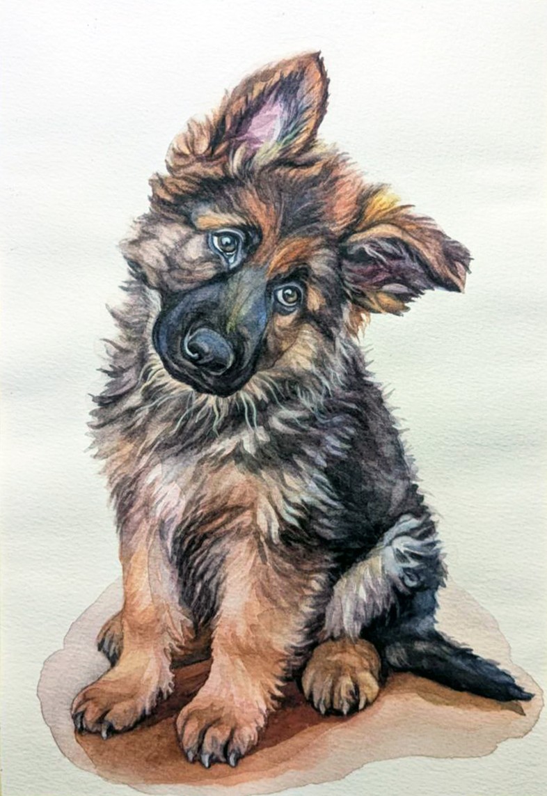 Custom watercolor Pet Portrait from Photo A5 5×7″ Realistic Personalised art