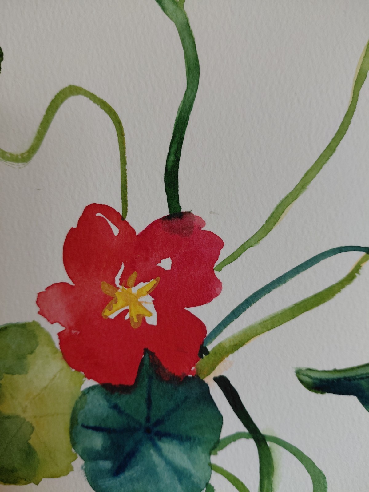 MONA VIVAR Original 12×9 Flower Botanical Impressionism Fine Art Painting