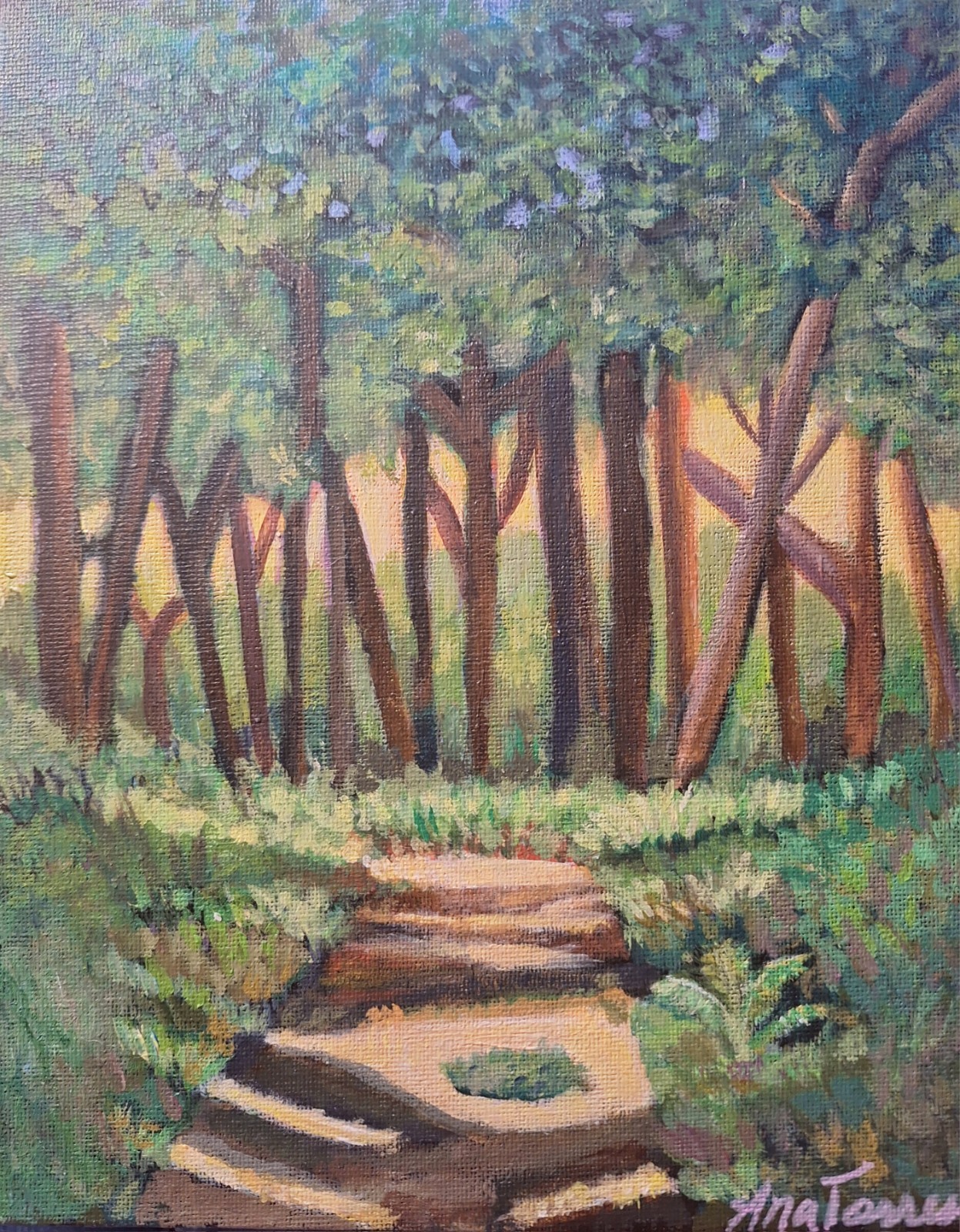 Sun Through The Forest 8×10 Acrylic Canvas Panel Painting