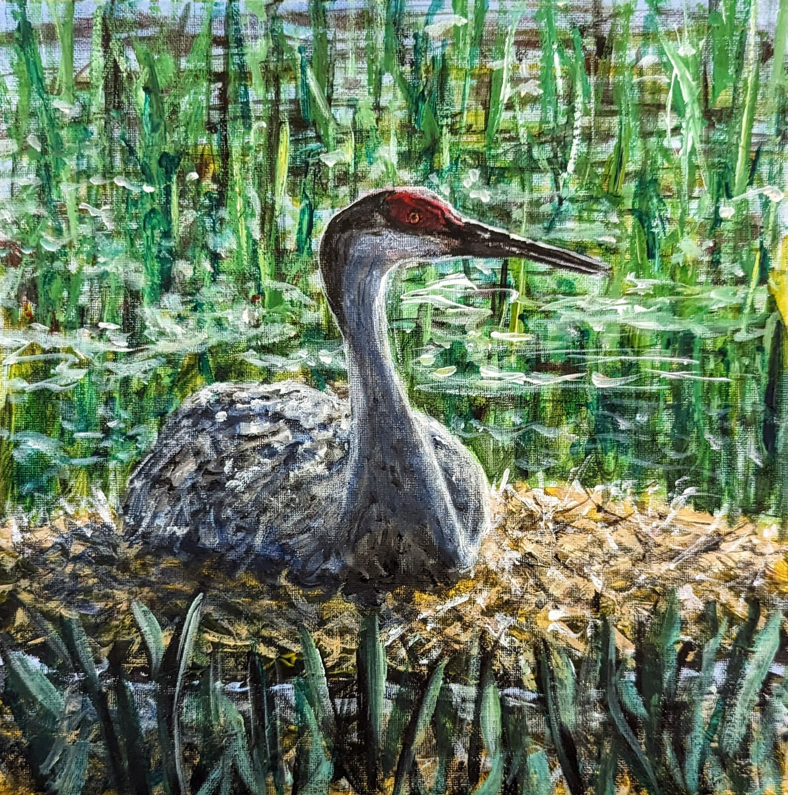 Sandhill Crane Bird Nest, Original Fine Art Acrylic Painting 12×12 inch
