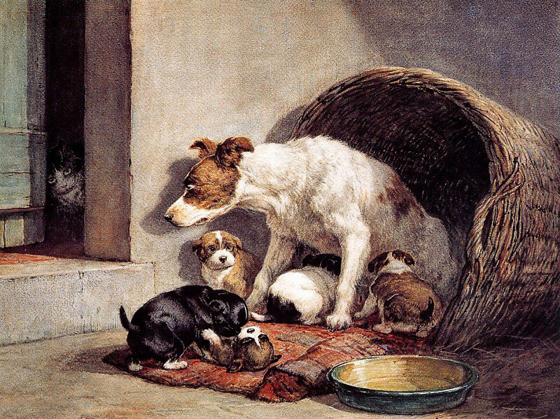 Oil painting Henriette Ronner Knip thealert mother dog puppy cat art