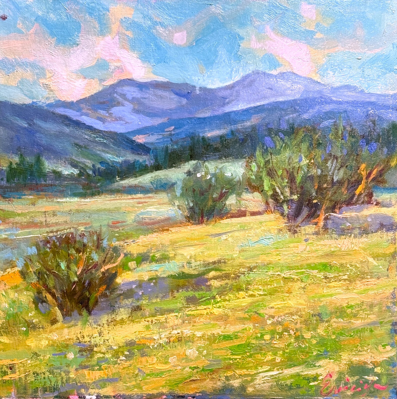 Distant Hills of Teanaway original oil painting landscape Impressionist art art