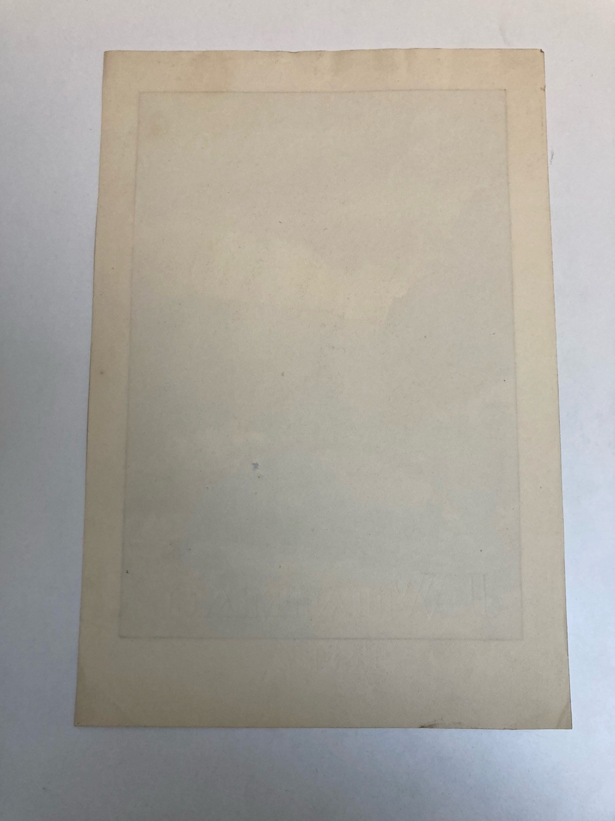 Very Pretty Painting Lavis Ink Paper Xixth 1850 Mountain Bridge to Identify Art