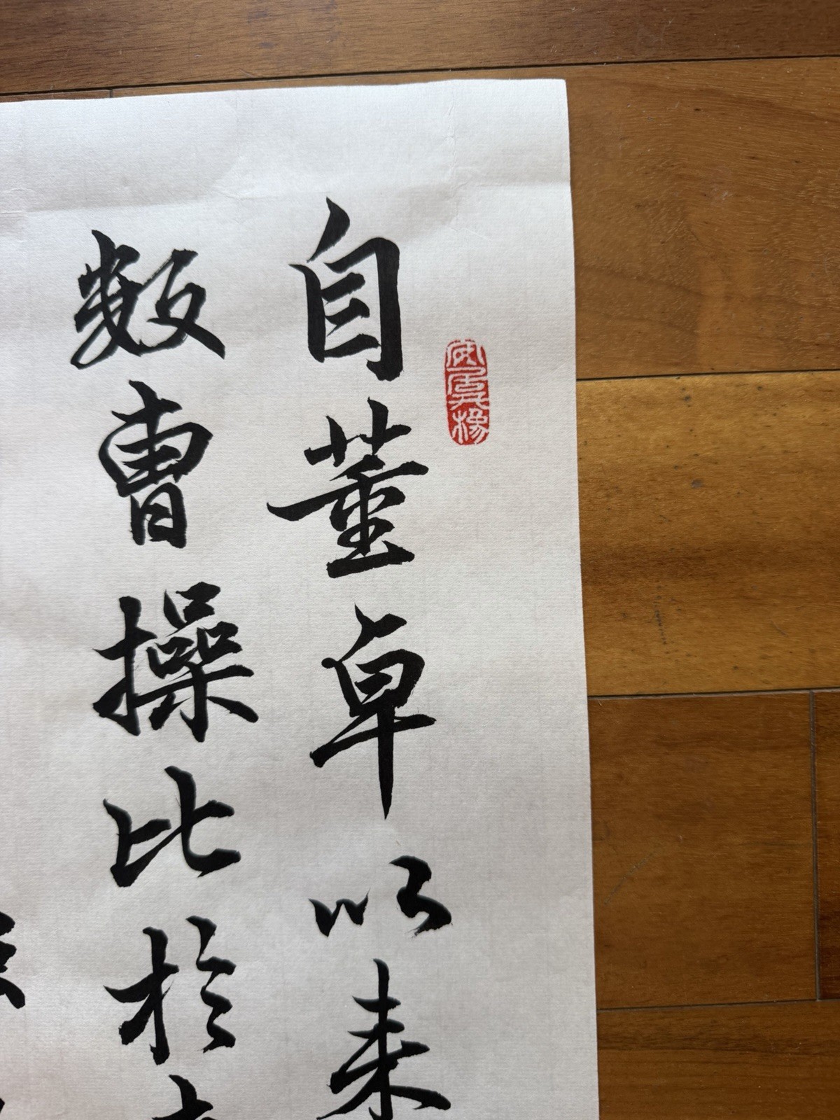 Unframed Chinese Calligraphy Freehand Longzhong Plan 隆中對2649