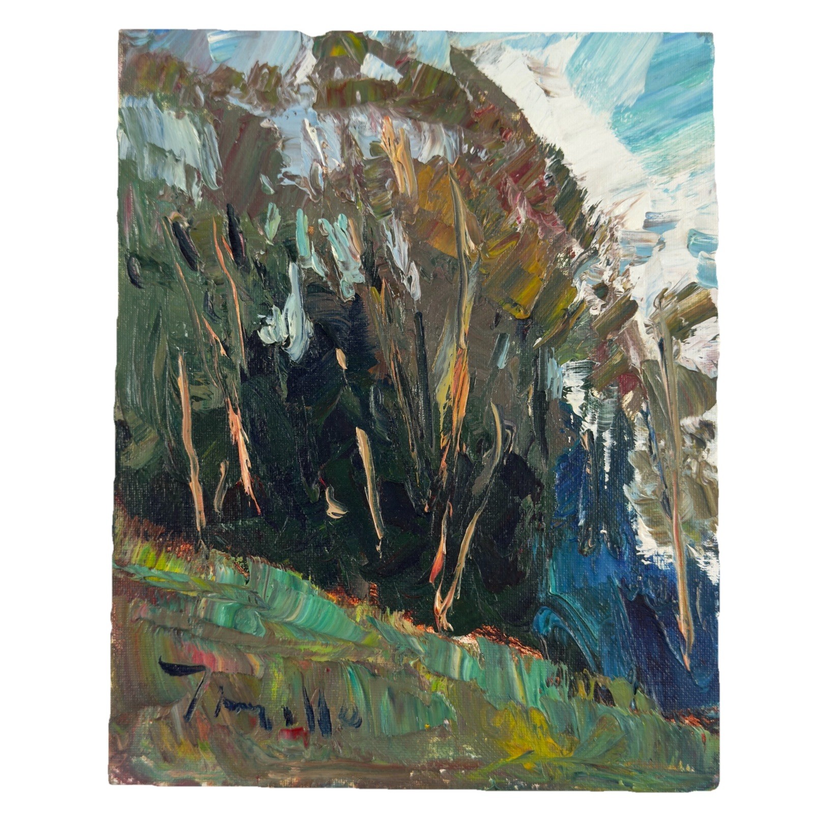 Early Jose Trujillo Painting 2016 “Eucalyptus Trees” Oil On Canvas 8×10 COA