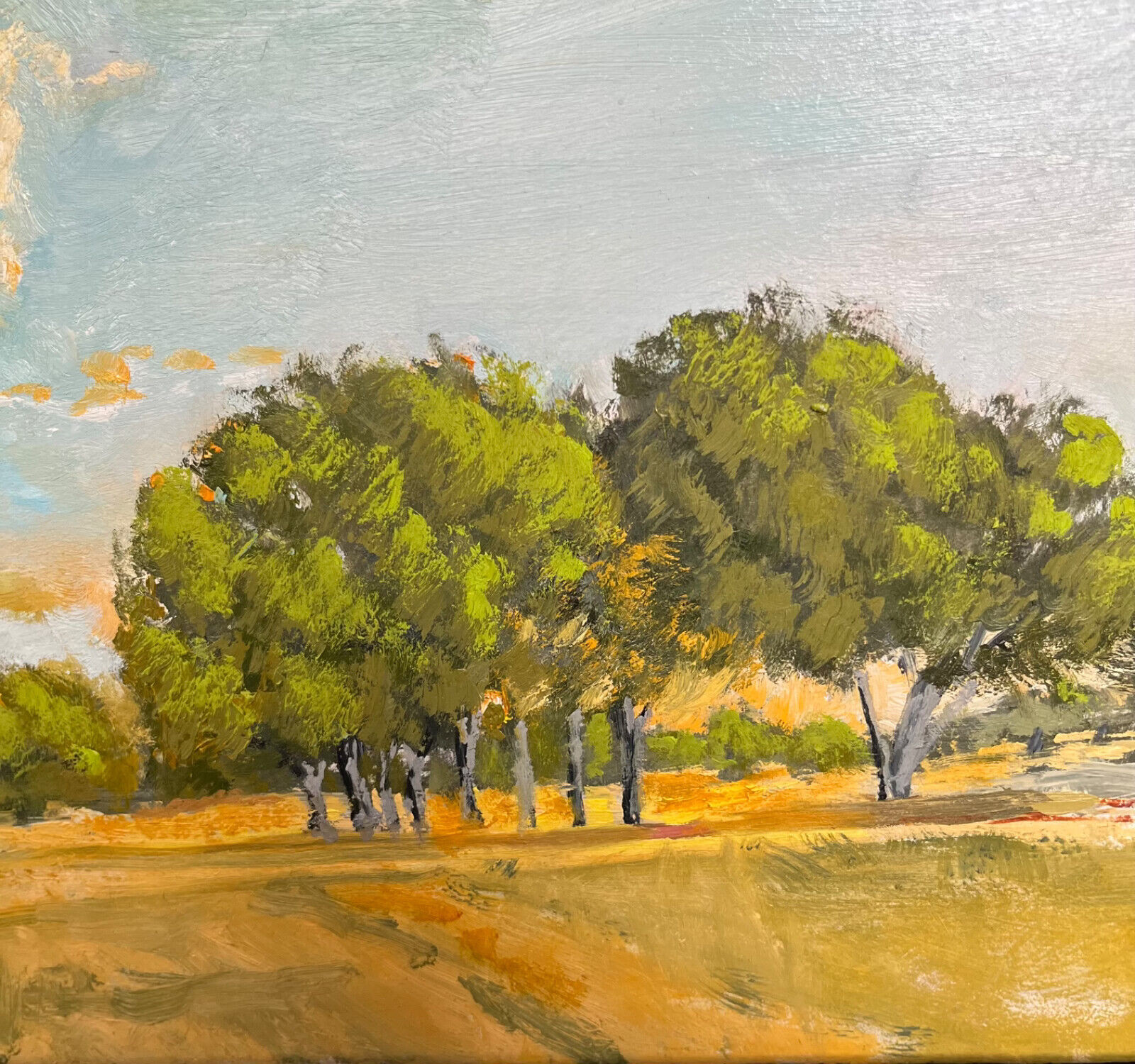 Original Oil Study. Texas Ranch Land 10.25in 20.25in