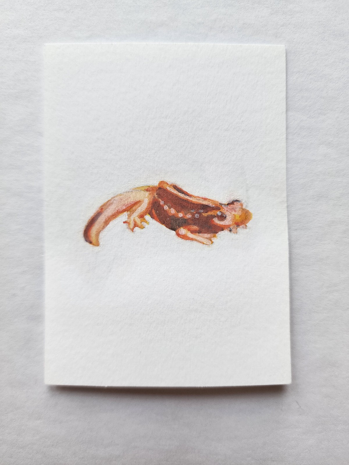 ACEO Original Abstract Acrylic Painting Emperor Newt Mandarin Salamander by Kiva