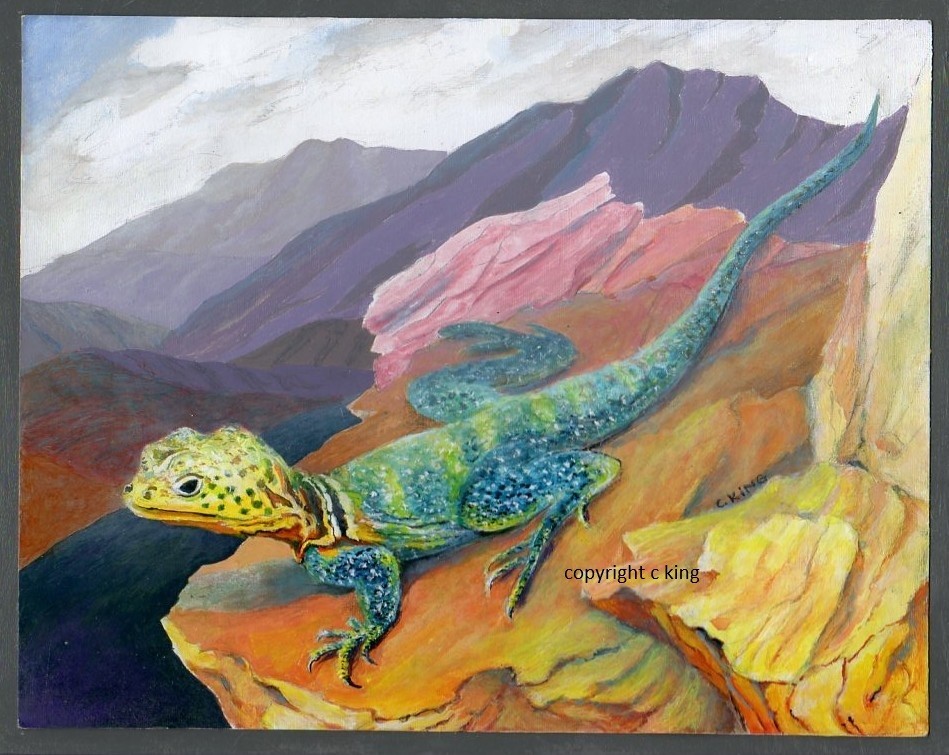 ORIGINAL ART ACRYLIC PAINTING COLLARED LIZARD 7 1/2 by 9 1/2 image
