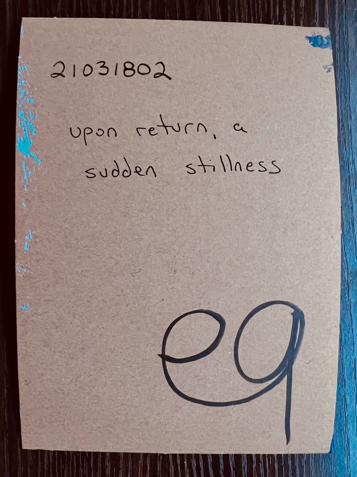 e9Art 5×7 ‘upon return, a sudden stillness’ outsider art brut rural ghosts naive