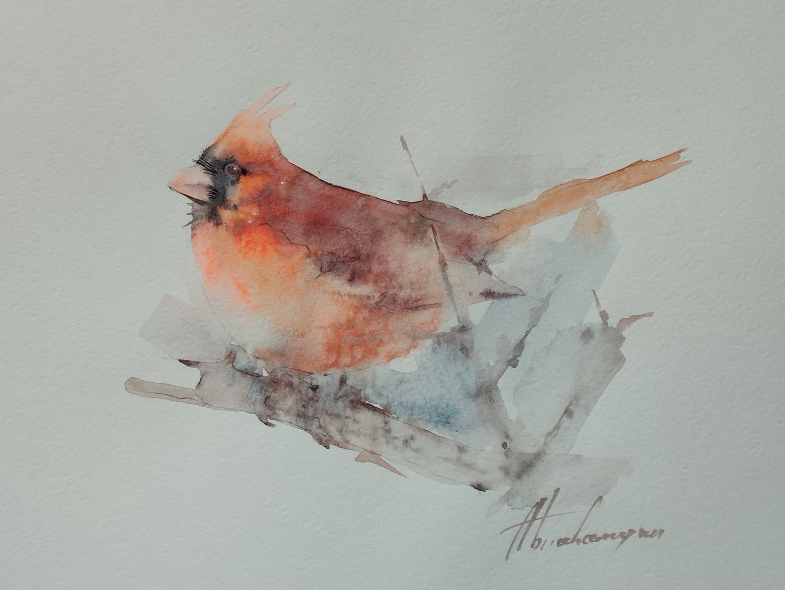 Cardinal, Birds, Watercolor artwork, Handmade, Original painting on paper