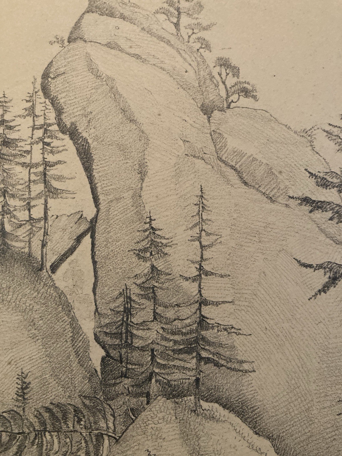 Very Nice Drawing Xixth 1830 Rocher Pencil Swiss? Shaft Foret Antique Alps Art