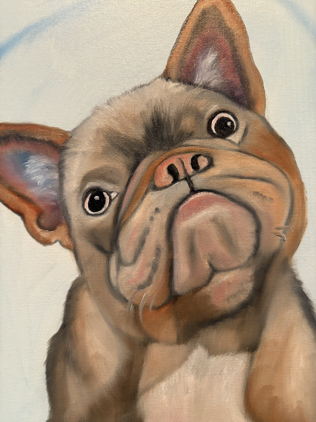 Original oil painting 11 x 14 inch French Bulldog with sassy attitude