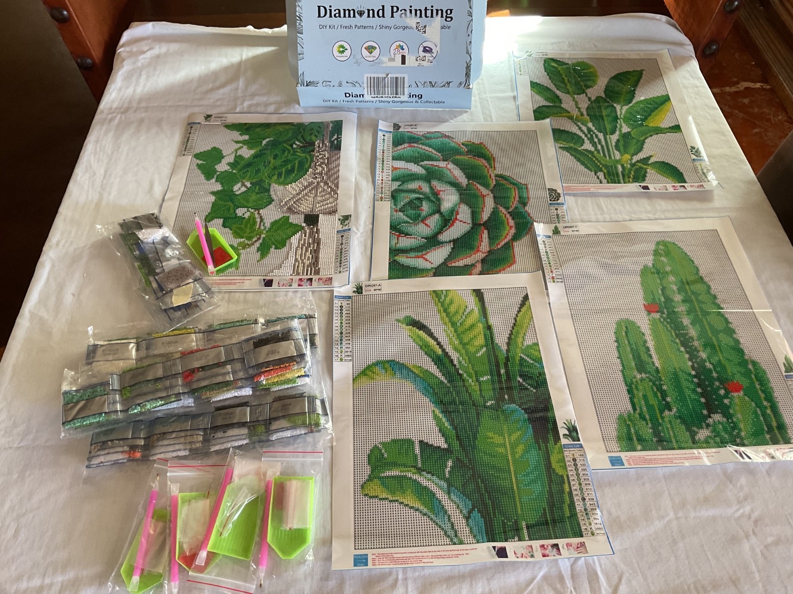 5 Pc Diamond Painting Set Green Cactus Succulents Plant 11×16″ Pictures Art used