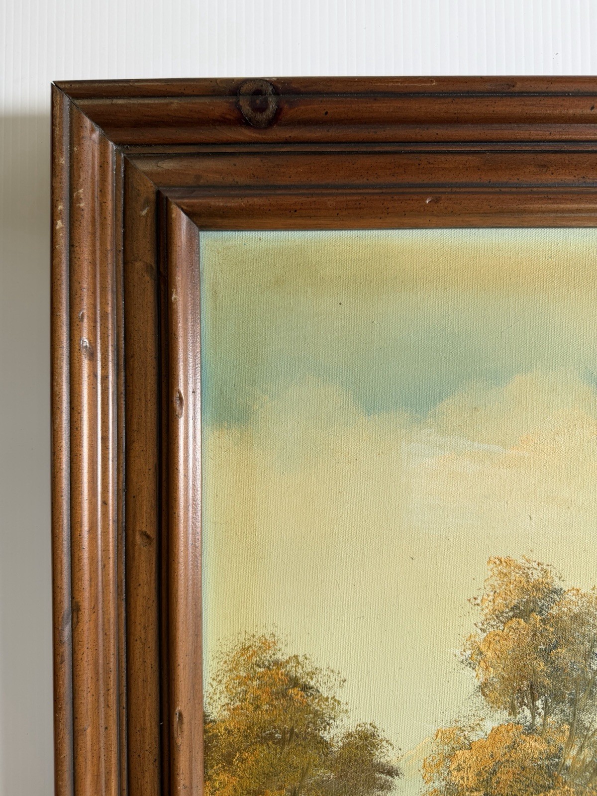 Beautiful Vintage Original Oil Painting On Canvas, Lake & Mountains 29×41 Signed
