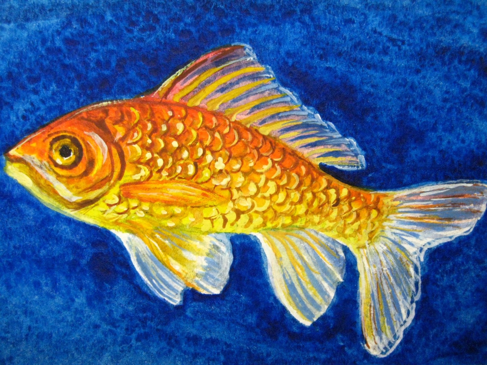 Watercolor Painting Gold Fish Aquarium ACEO Art