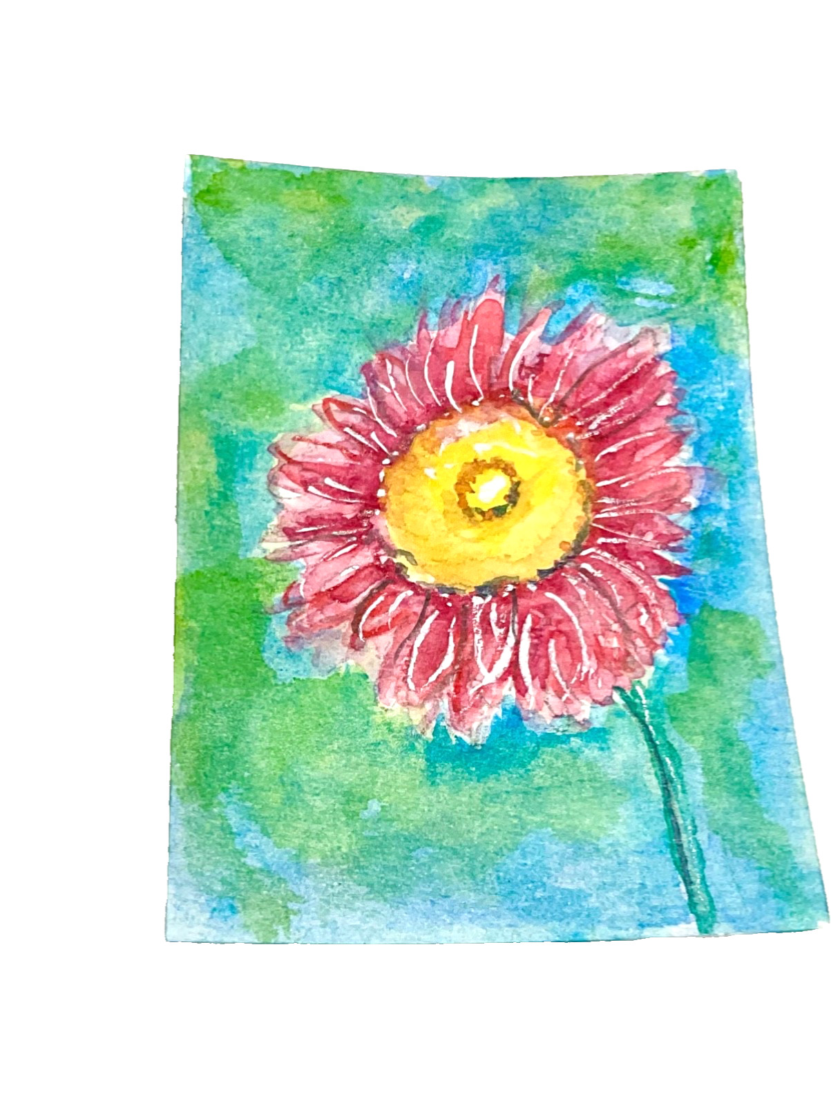 ACEO Original daisy pink flower ATC OOAK Cherie Donnell