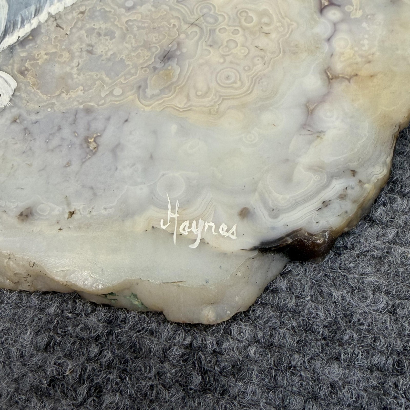 Haynes White Gray Acrylic Seagull Painting On Agate Slice OOAK Signed Beach