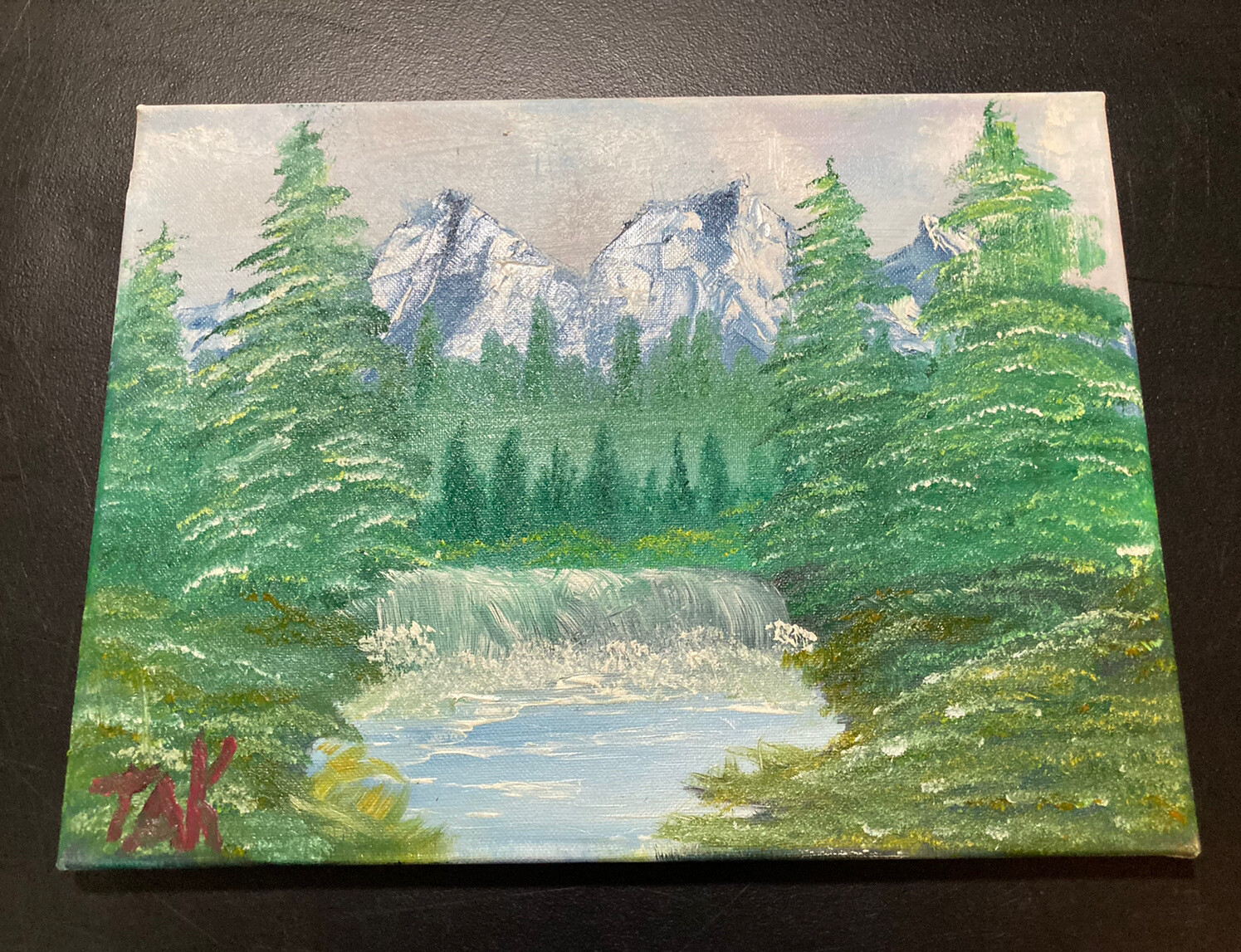 16” X 12” Hand Painted Still Life Mountain Scene Oil On Canvas Signed “TAK”