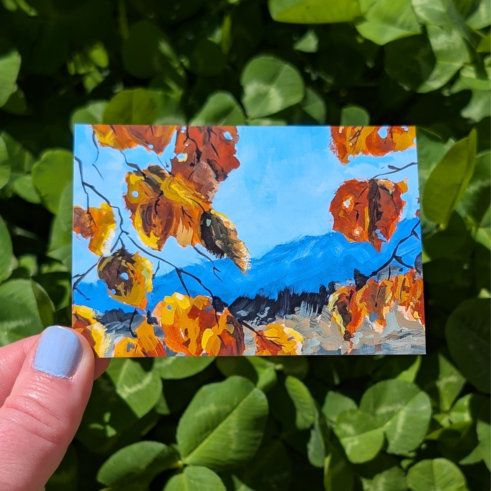 ACEO Print, Autumn Leaves Mountain Forest Colorado Landscape, 2.5″ x 3.5″