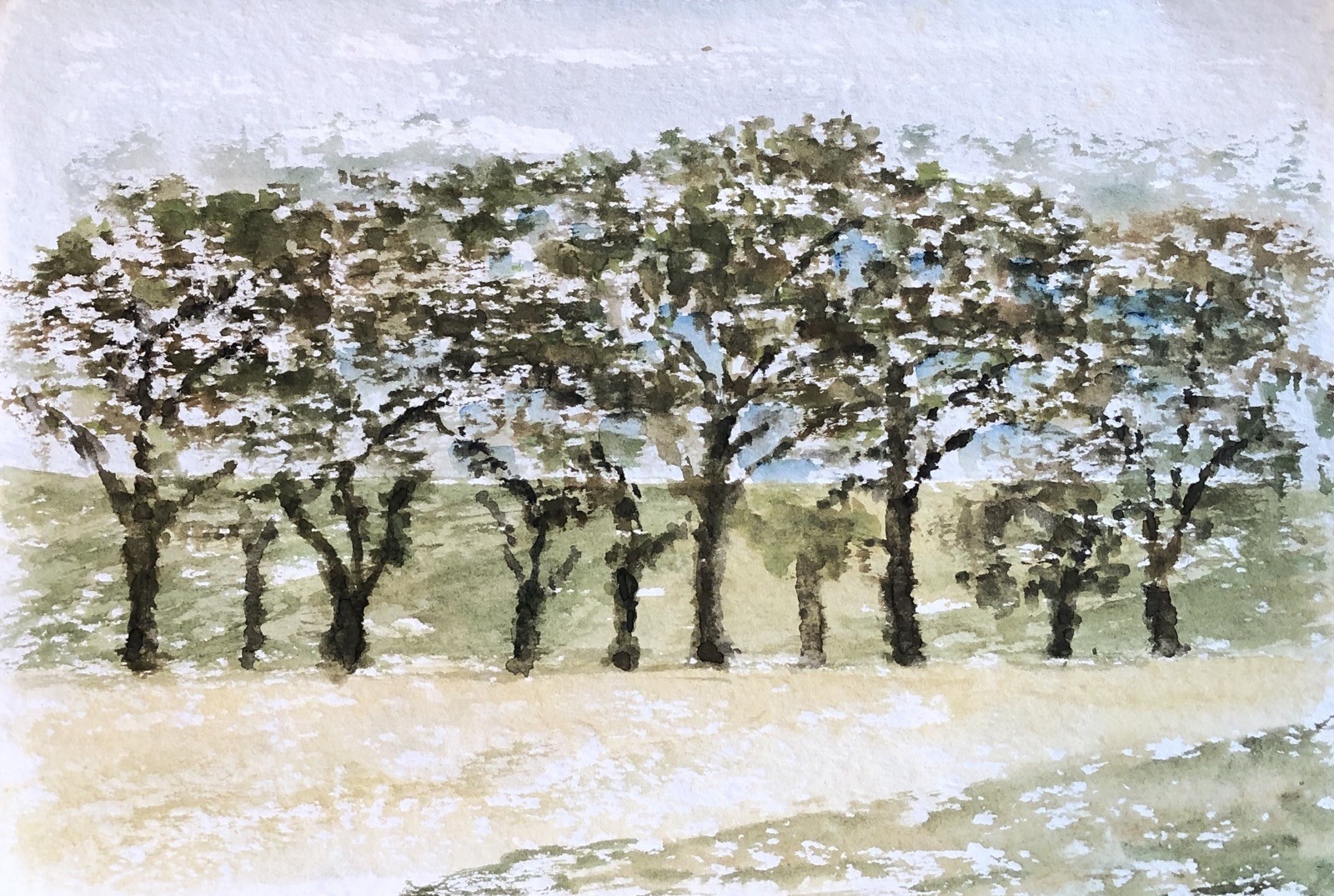 Unknown Impressionist – Grove – Fruit Blossom – Summer – Watercolour – 30X20, 5