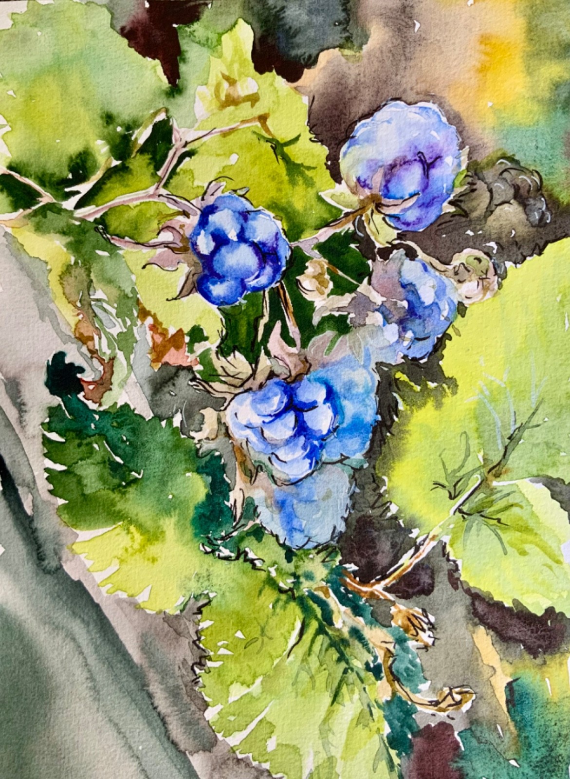 Original watercolor painting «Blackberry» 20.5×14.5 cm. By I. Tarasova