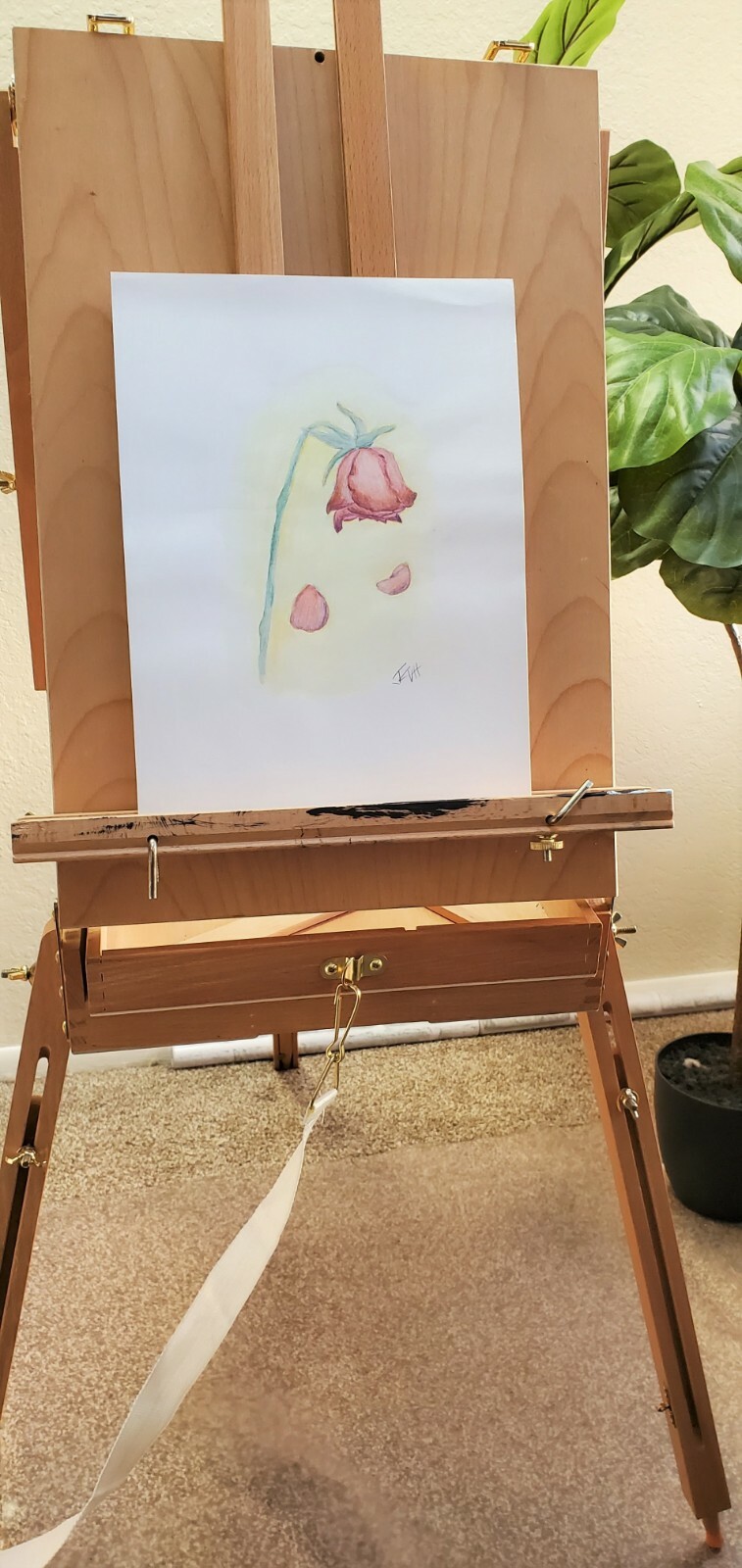 Dying Rose Drawing