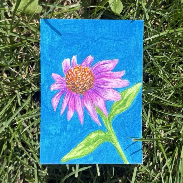 Original Gouache ACEO «Waving Coneflower» 1/6 in Blooming Flowers Series